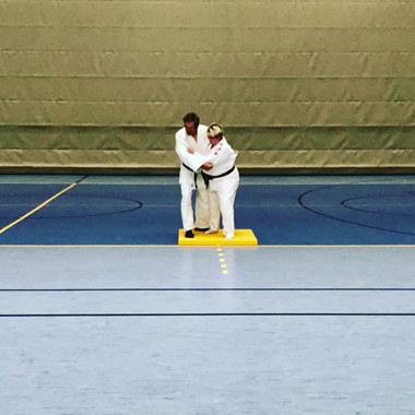 Judo for professionals