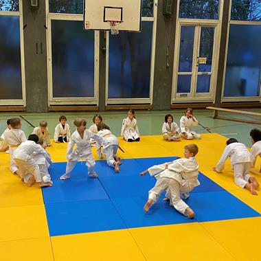 Rangeln und Raufen im Judo
