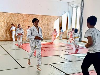Professionelle Judoausbildung
